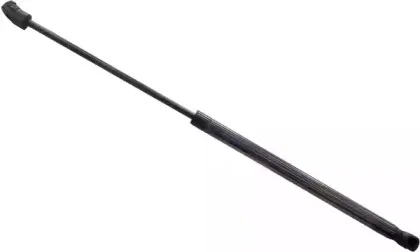 doga-2022283
