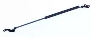 doga-2024673
