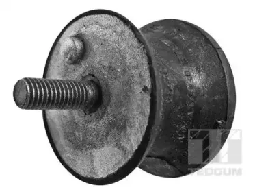 00089641 TEDGUM Подвеска, держатель ступенчатой коробки передач