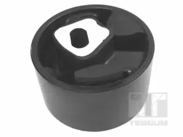 00137940 TEDGUM Кронштейн, подвеска двигателя