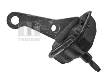 00148138 TEDGUM Подвеска, рычаг независимой подвески колеса