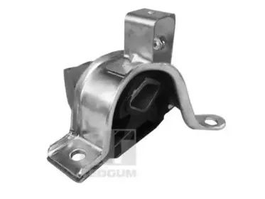 00219215 TEDGUM Подвеска, двигатель
