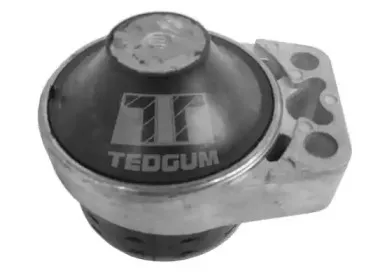 00226952 TEDGUM Подвеска, двигатель