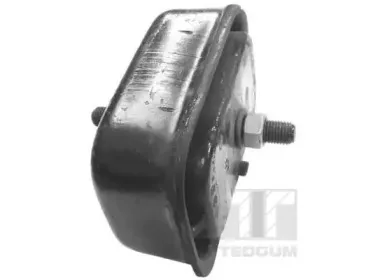 00392579 TEDGUM Кронштейн, подвеска двигателя