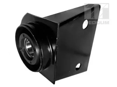 00410618 TEDGUM Подвеска, карданный вал