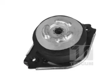 00418536 TEDGUM Подвеска, двигатель