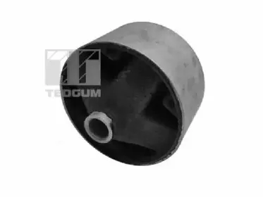 00465462 TEDGUM Кронштейн, подвеска двигателя