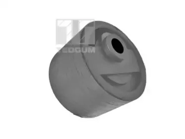 00466065 TEDGUM Кронштейн, подвеска двигателя