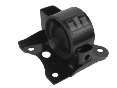 00466643 TEDGUM Кронштейн, подвеска двигателя