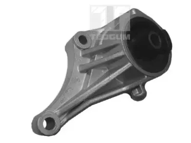 00501144 TEDGUM Подвеска, двигатель