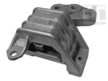 00507909 TEDGUM Подвеска, двигатель