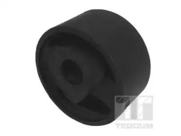 00517264 TEDGUM Подвеска, двигатель