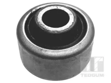 00586410 TEDGUM