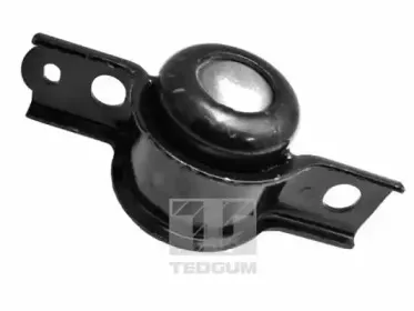 00636075 TEDGUM