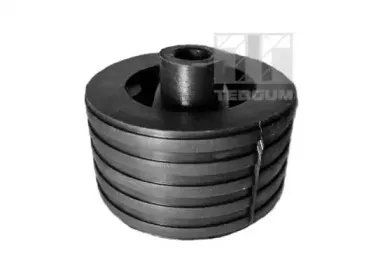 00747776 TEDGUM Кронштейн, подвеска двигателя