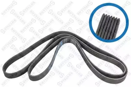 0702682SX STELLOX Поликлиновой ремень