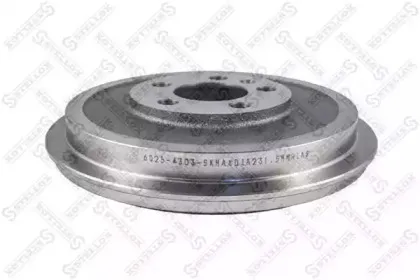 6025-4303-SX STELLOX