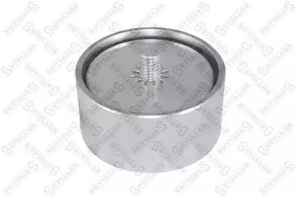 81-22026-SX STELLOX Натяжной ролик, поликлиновойремень