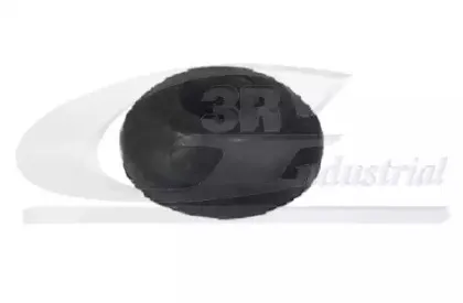 3rg-21732