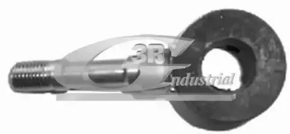 3rg-21743