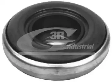 3rg-45313