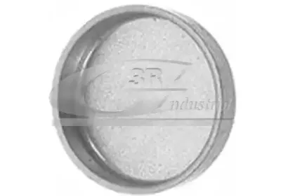 84000 3RG Пробка антифриза