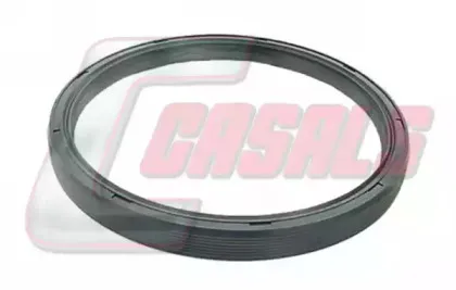 casals-20292