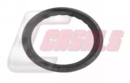 casals-20313