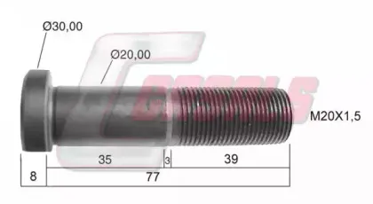 casals-21246