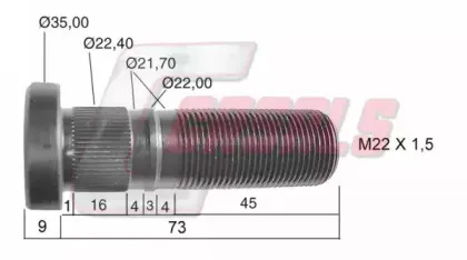 casals-21282