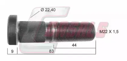 casals-21283