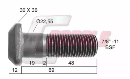 casals-21305