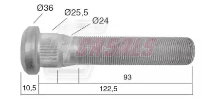 casals-21532
