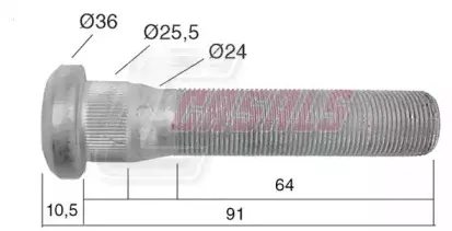 casals-21535