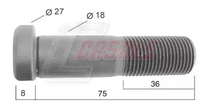 casals-21537