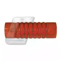 casals-33237