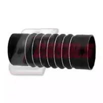 casals-33239