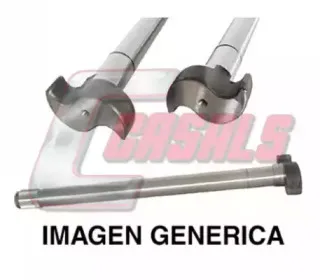 casals-3604