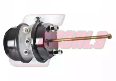 casals-4609