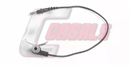 casals-50022