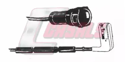 casals-50049