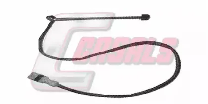 casals-50110