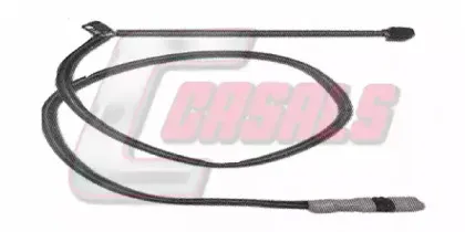 casals-50112