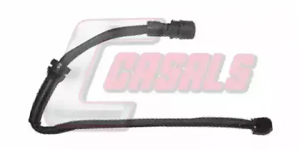 casals-50124