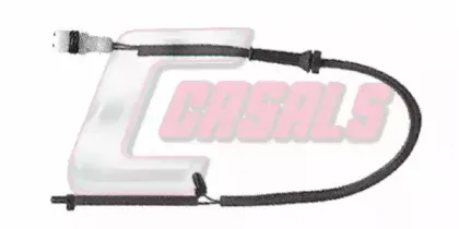 casals-50194