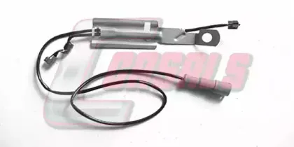 casals-50205
