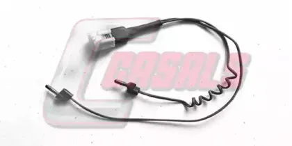 casals-50225