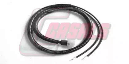 casals-50230