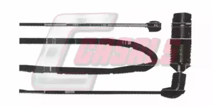 casals-50233