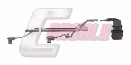 casals-50246